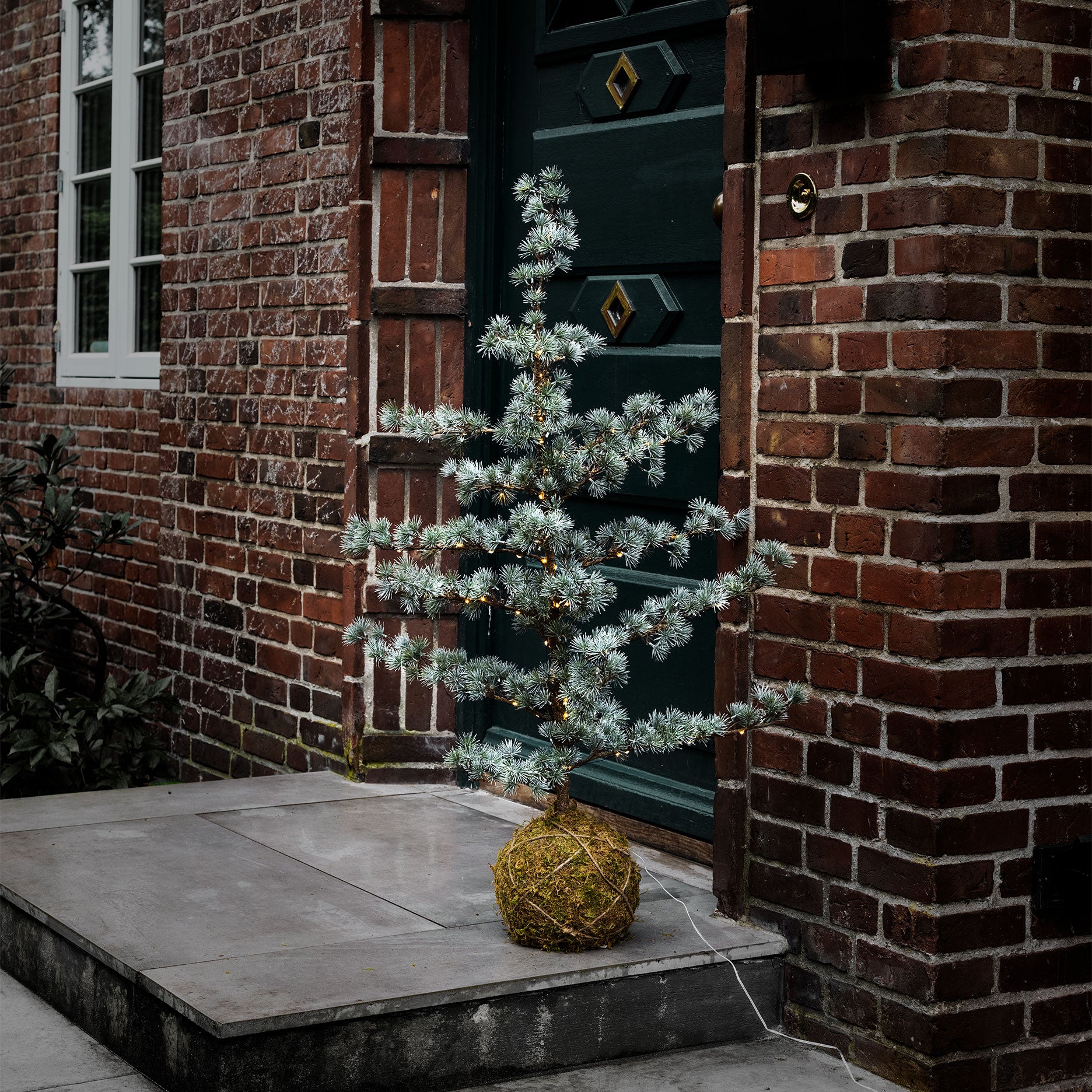 Festive cedertræ m. LED